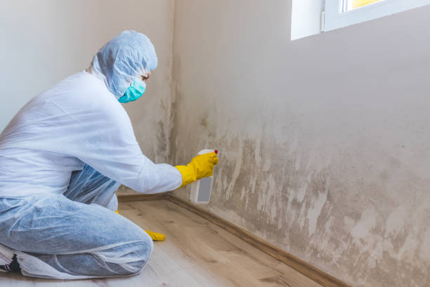 Hvac And Air Duct Mold Remediation inspection of HVAC system in North East