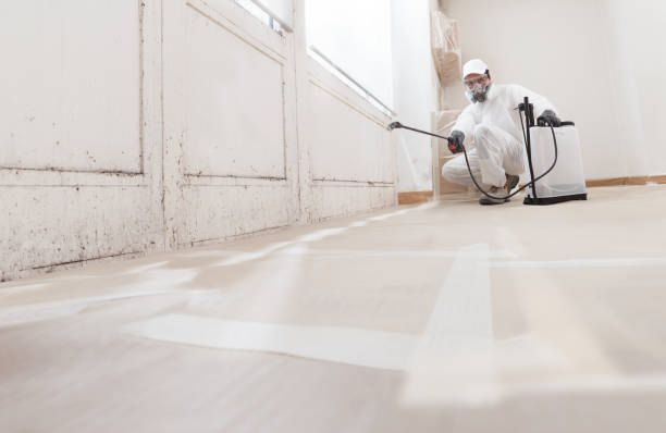 Post-remediation clearance in North East